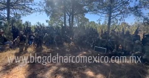 blog del narco videos enfrentamientos|Video fuerte del enfrentamiento entre la Familia Michoacana y .